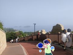 -星海湾跨海大桥