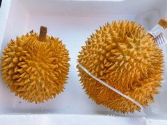 -鲜力达果品批发直销(青山店)