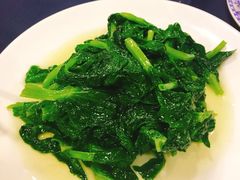 酒香豆苗-老吉士酒家(天平路店)