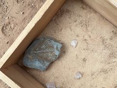 -房山世界地质公园博物馆