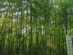 -广州市石门国家森林公园