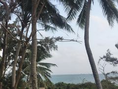 -三亚亚龙湾红树林度假酒店