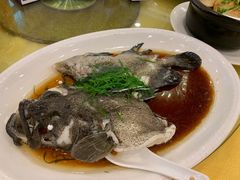 -东森家宴·惠州客家菜