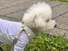 -西岭雪山大飞水景区