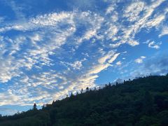 -武陵山森林公园