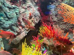 -太平洋海底世界