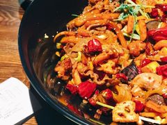 -食乐佳麻辣香锅(森林摩尔商业街区店)