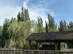 -石家庄市动物园