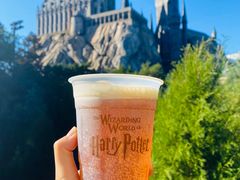 -奥兰多环球影城