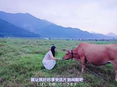 -上坦村