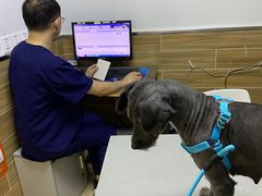 -爱侣宠医·鹦鹉专科·小型哺乳类·异宠专科(灵石路店)