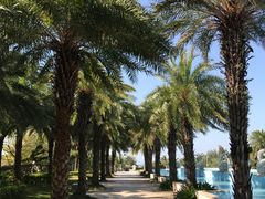 -惠州金海湾嘉华度假酒店