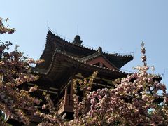 -西安青龙寺遗址景区