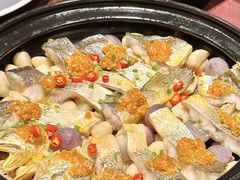-芙蓉堂(武汉天地店)