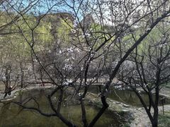 -沕沕水生态风景区