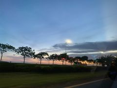 -宝安西湾红树林湿地公园