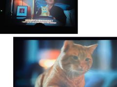 -中影嘉华国际影城(大芬星都里店)