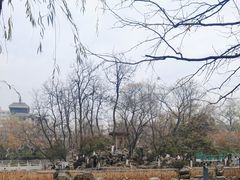 -莲湖公园