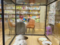 -袖虎猫馆(十亩地店)