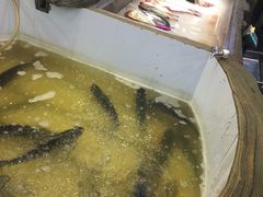 -咱屯子铁锅炖直营店(南湖大路店)
