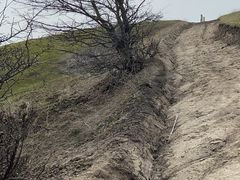 -中华福寿山