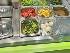 -油梨树AVOCADO TREE(顺义新国展店)