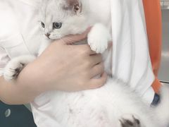 -佳雯宠物医院(金华南路分院)