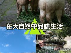 -昆明青龙峡风景区