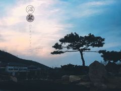 -徂徕山森林康养度假谷温泉