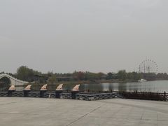 -金卉庄园