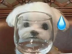 -顶屋咖喱(街道口总店)