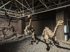 -世界恐龙谷景区