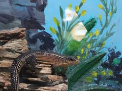 -石家庄市动物园