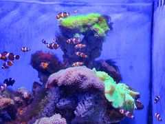 -多彩贵州城极地海洋世界