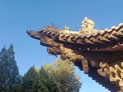 -张掖大佛寺景区