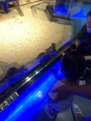 -未来动物城动物主题公园(大悦城店)