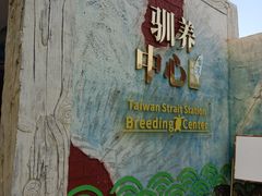 -广东惠东海龟国家级自然保护区