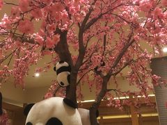 -大江户·温泉洗浴(浑南店)