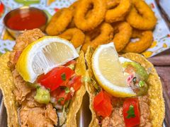 -Famous肥猫墨西哥音乐餐吧(五棵松华熙LIVE店)