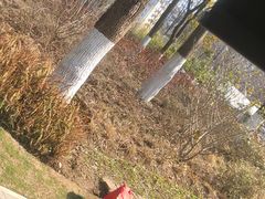 -武汉动物园