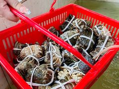 -乡乐园蟹庄·阳澄湖农家乐