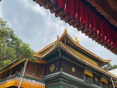 -塔尔寺