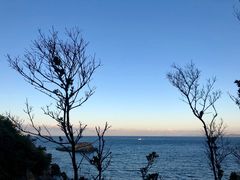 -南紀白浜 浜千鳥の湯 海舟