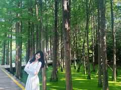 -云龙湖旅游景区