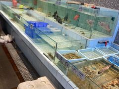 -小城故事·地道宁波味(月湖盛园店)