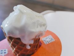 牧场牛乳冰激凌-野人牧坊Gelato(天津南开大悦城店)