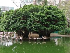 -九龙公园