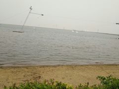 -碧海金沙