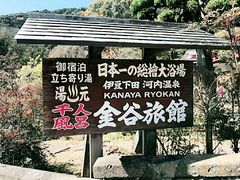 -伊豆观海列车