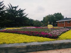 -石家庄市植物园